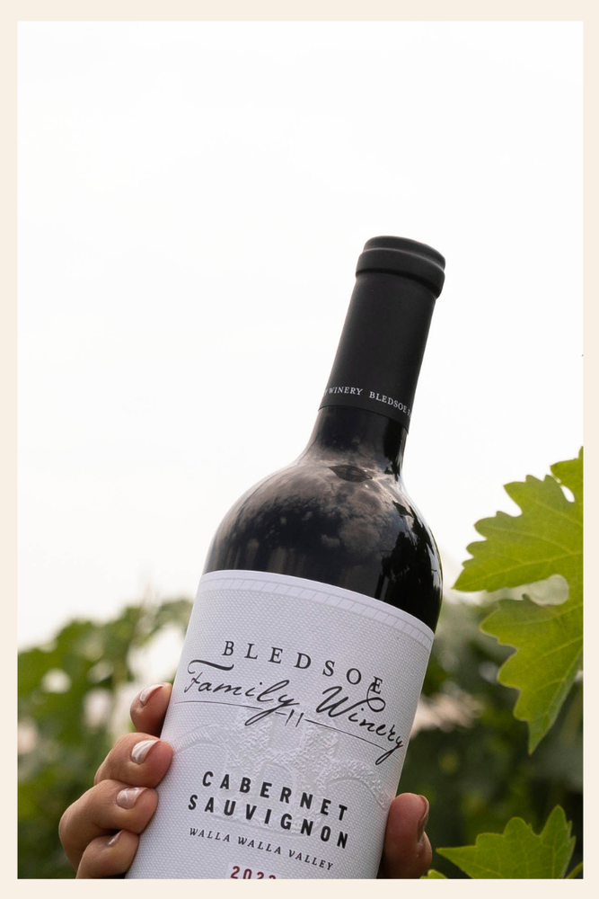 2023 Cabernet Sauvignon