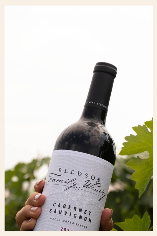 2023 Cabernet Sauvignon